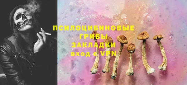 бошки Алексеевка