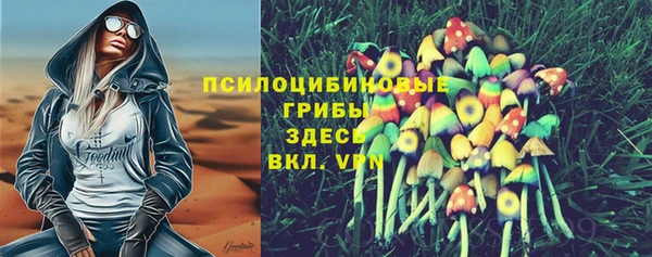 бошки Алексеевка