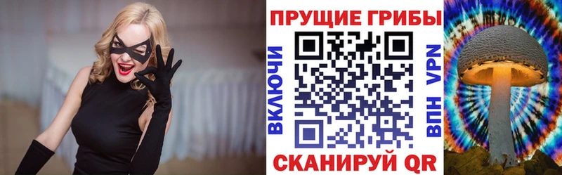 Галлюциногенные грибы Psilocybe как найти закладки Щёлкино